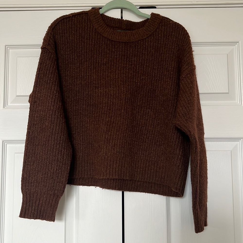 Brown Knitted Cropped American Eagle sweater